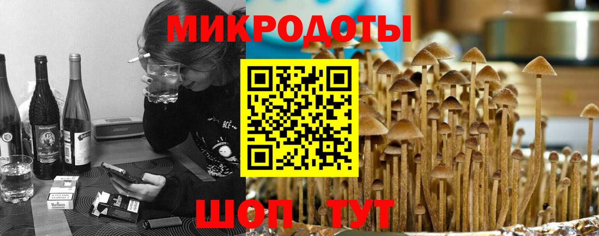 Псилоцибиновые грибы GOLDEN TEACHER  Вход с VPN  Владимир 